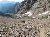 Malga Ciapela - Bivacco Dal Bianco